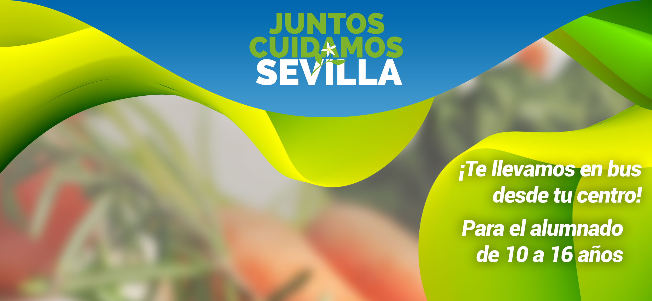 Conoce Lipasam